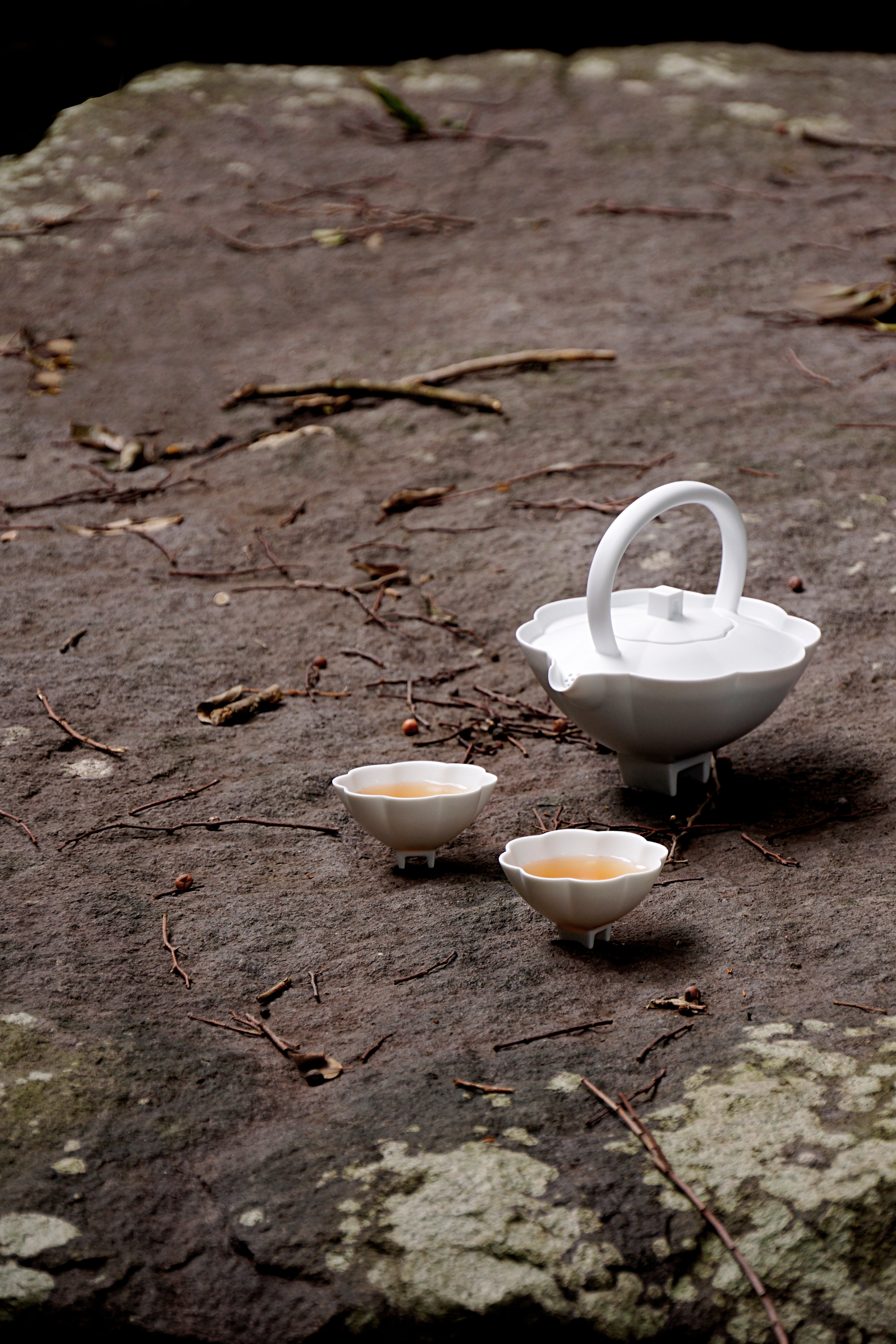 Evergreen Tea Set_Glossy