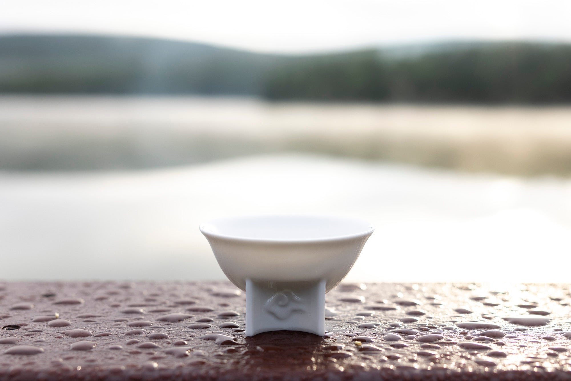 Wander Freely – Porcelain Gaiwan &amp; Teacup Set