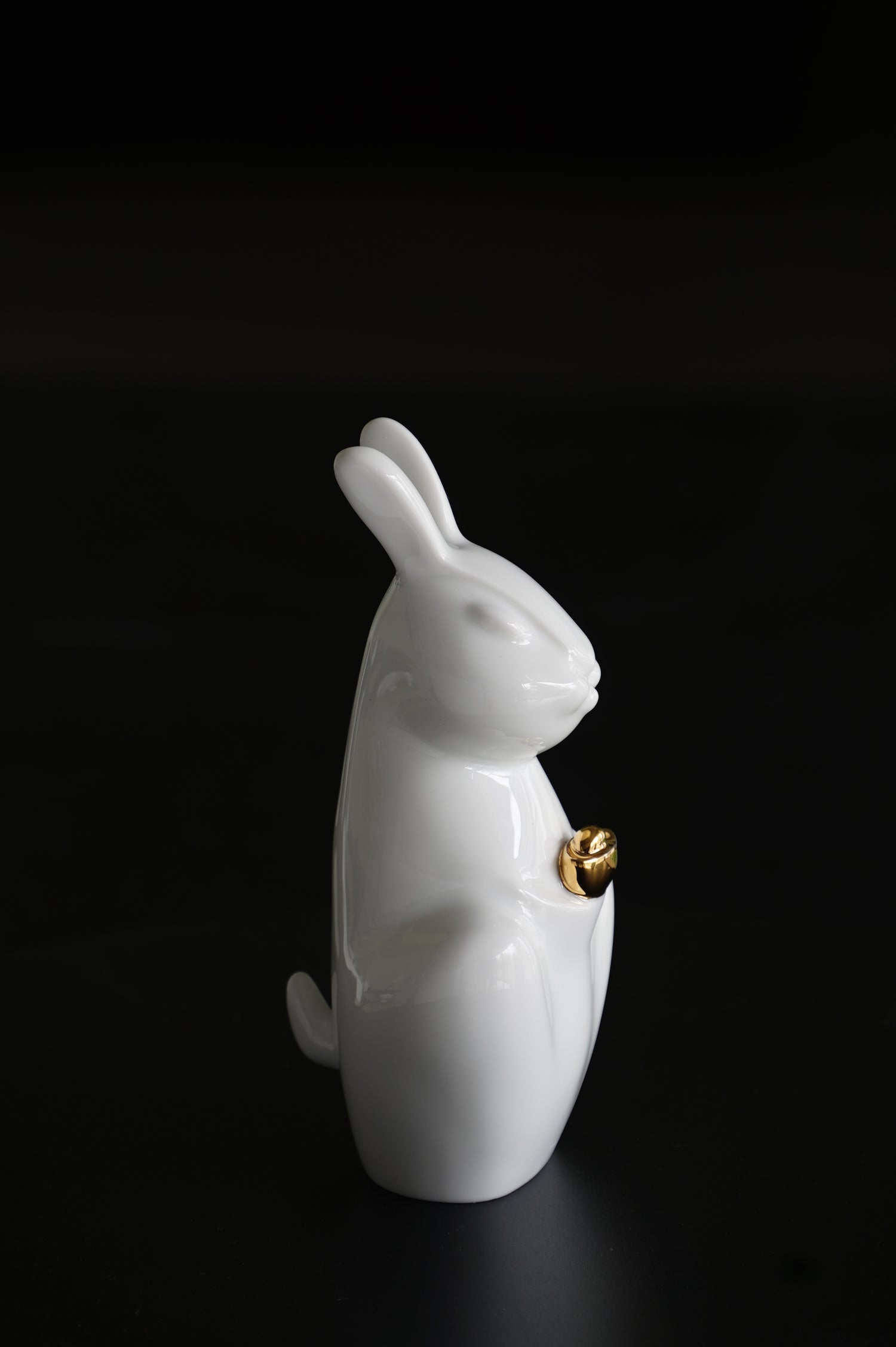 A Rabbit Embracing Abundance