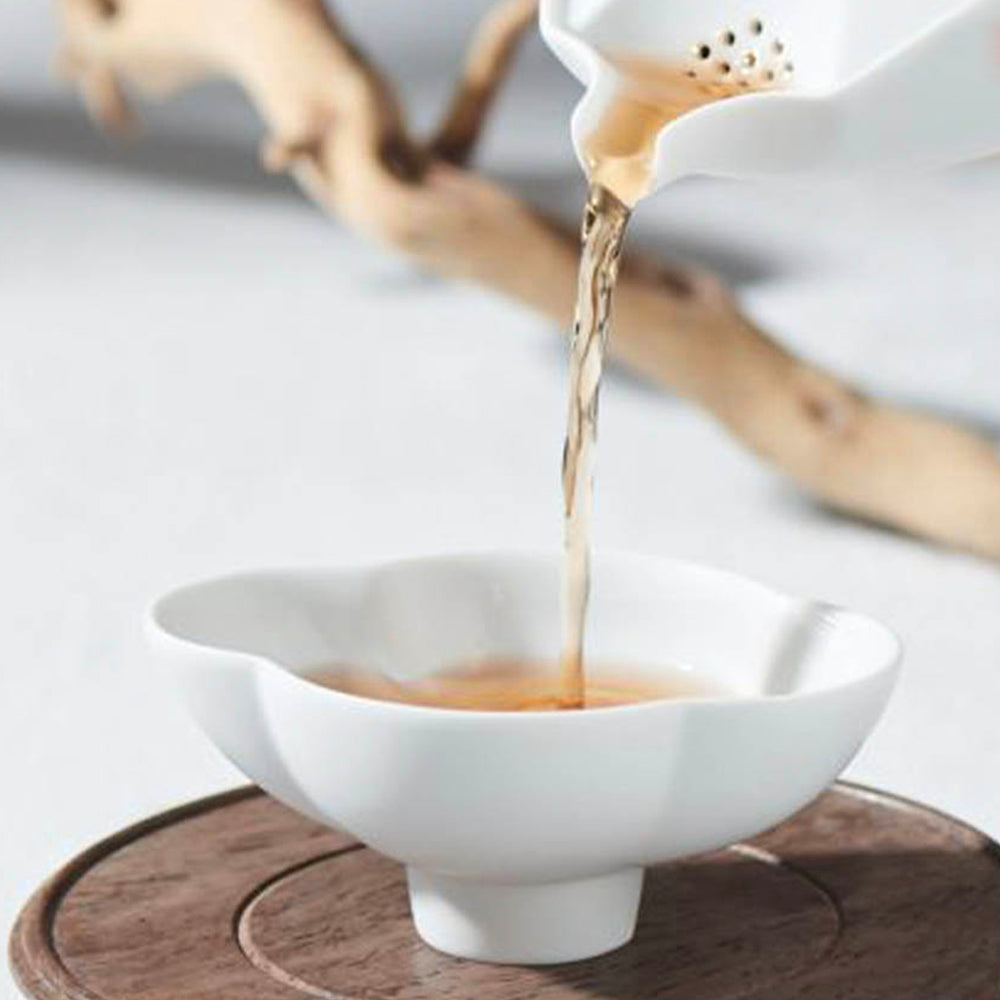 行雲白瓷茶壺倒茶畫面｜適合綠茶與輕發酵茶沖泡