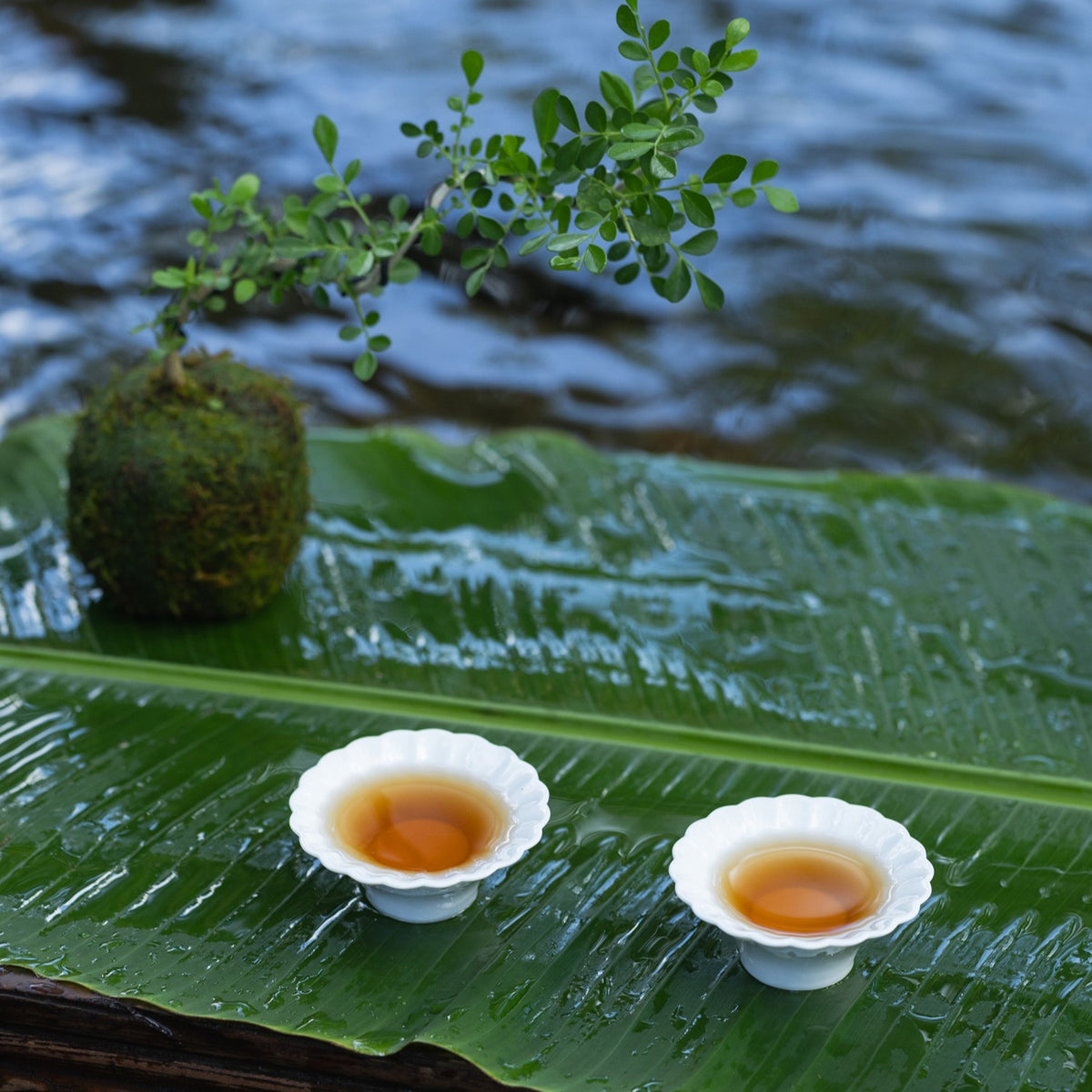 茶香與光影在白瓷上流轉，如山水交映 珍珠杯